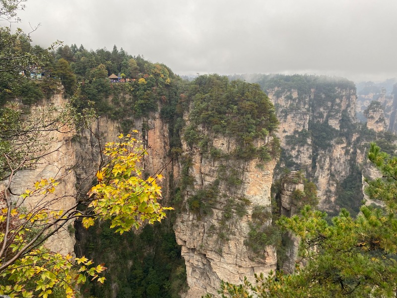 s202411191.jpg