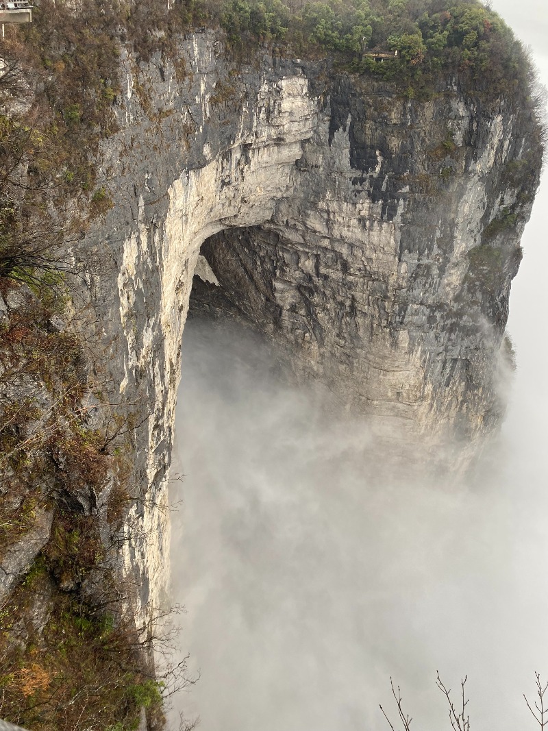 s202411195.jpg