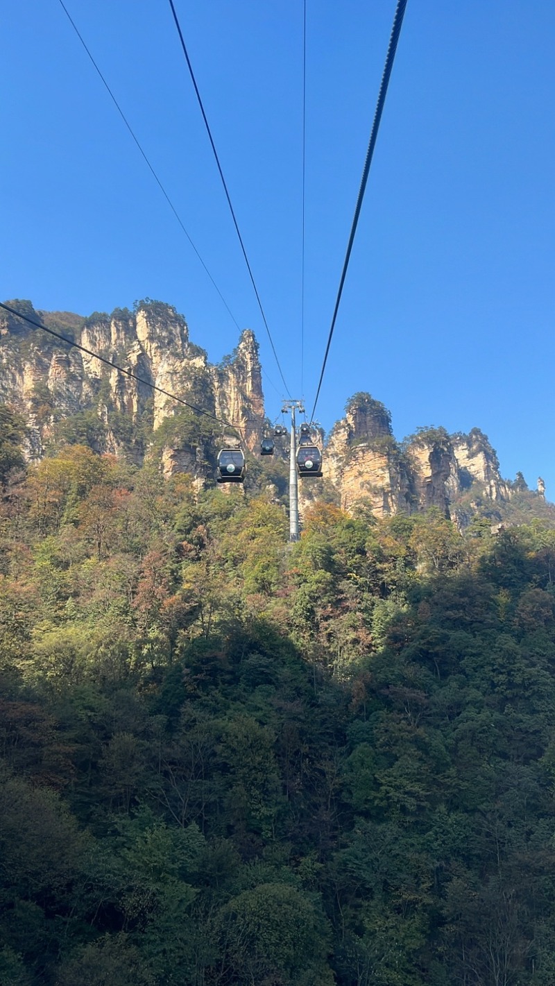 KakaoTalk_20250404_150942334_11.jpg