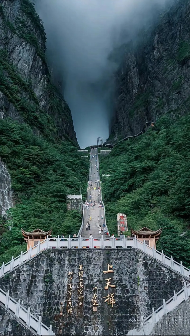 Weixin Image_20250507120135.jpg