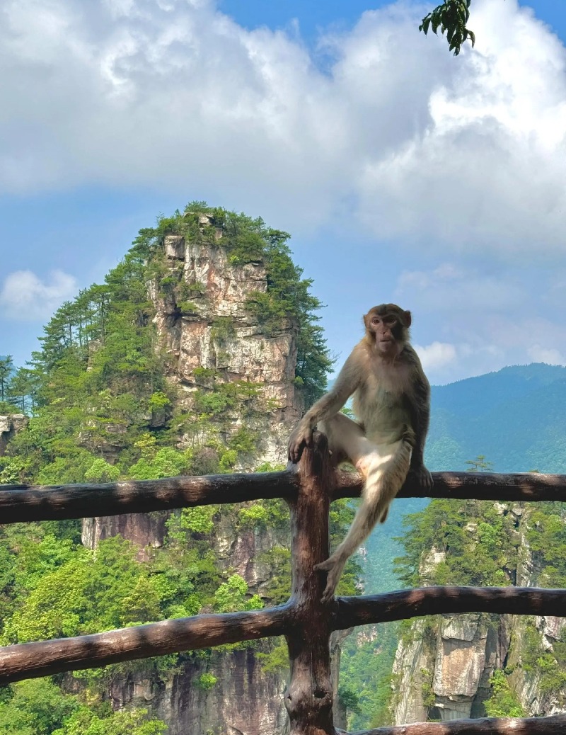 Weixin Image_20250507120216.jpg