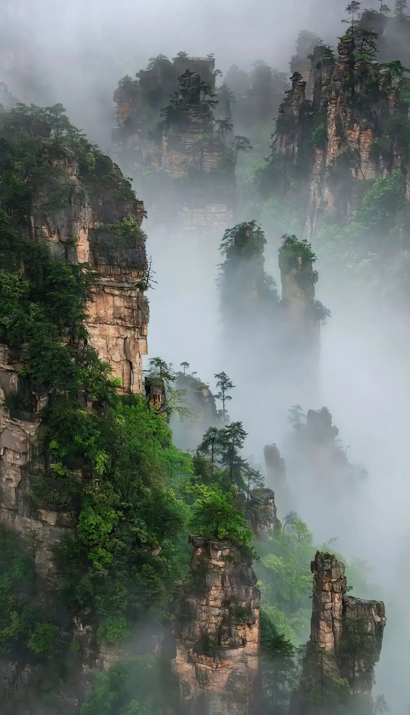 Weixin Image_20250512114053.jpg