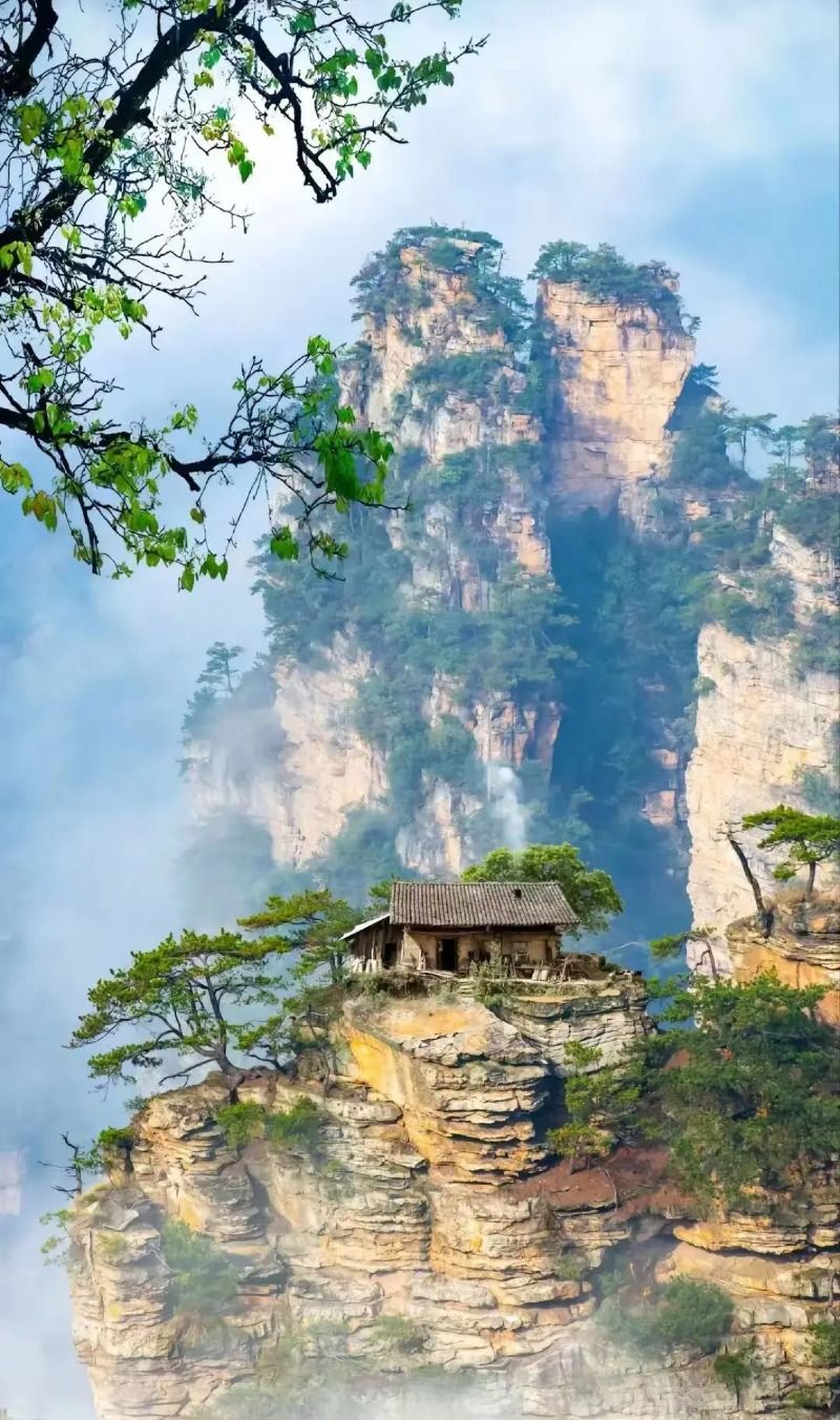 Weixin Image_20250512114104.jpg