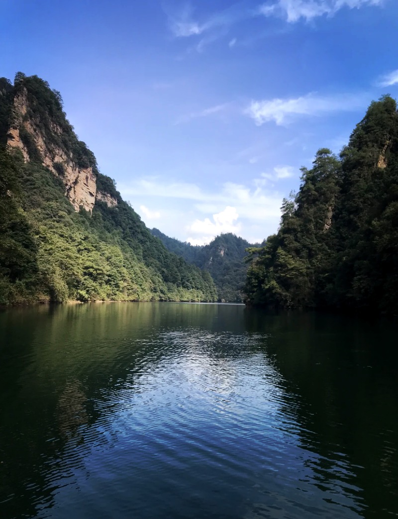 Weixin Image_20250512114113.jpg