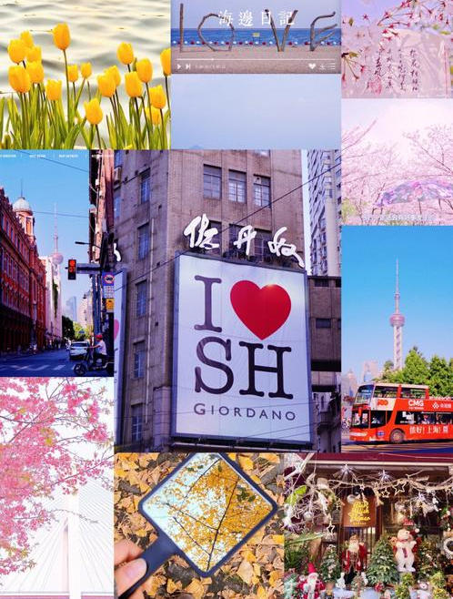 7d524743ea8c3a4b6e18257bf347466d_1765594601_0402.jpg 7d524743ea8c3a4b6e18257bf347466d_1765594601_0402.jpg