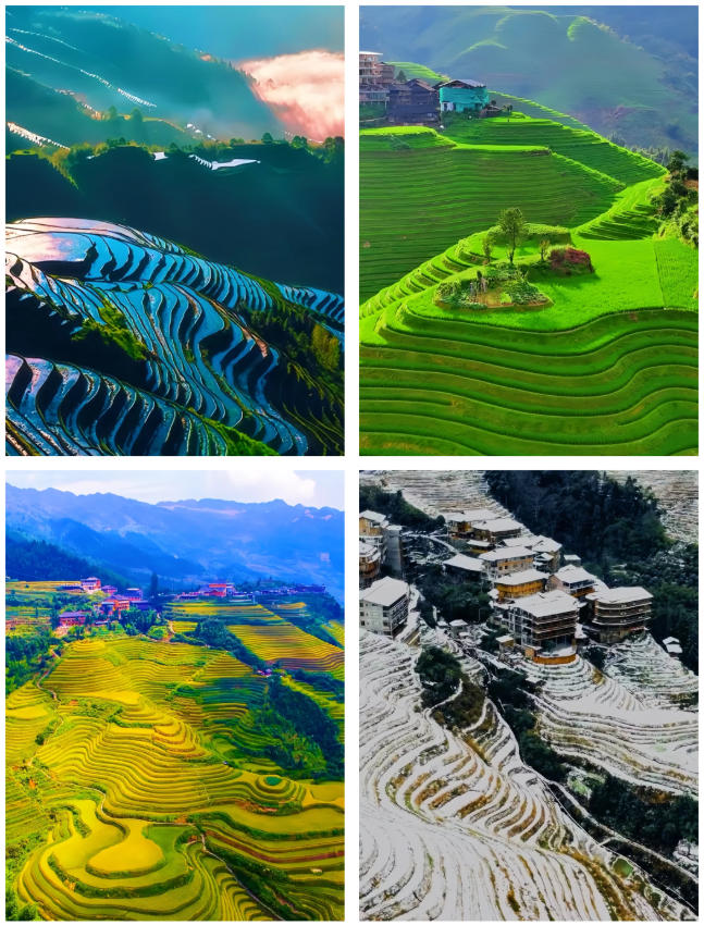 7d524743ea8c3a4b6e18257bf347466d_1765595404_838.jpg 7d524743ea8c3a4b6e18257bf347466d_1765595404_838.jpg