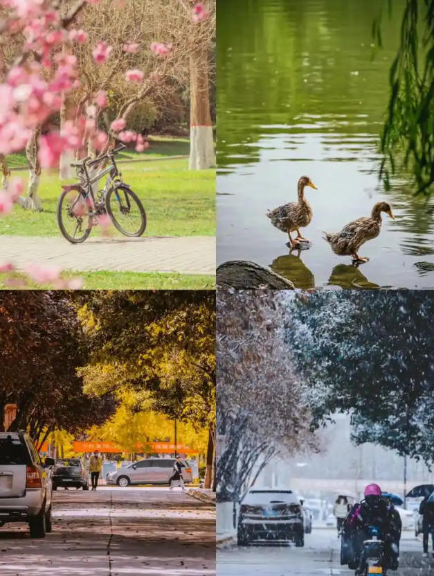 91c1ccf2ae47367bae39e71e69d1e816_1767694618_6267.jpg 91c1ccf2ae47367bae39e71e69d1e816_1767694618_6267.jpg