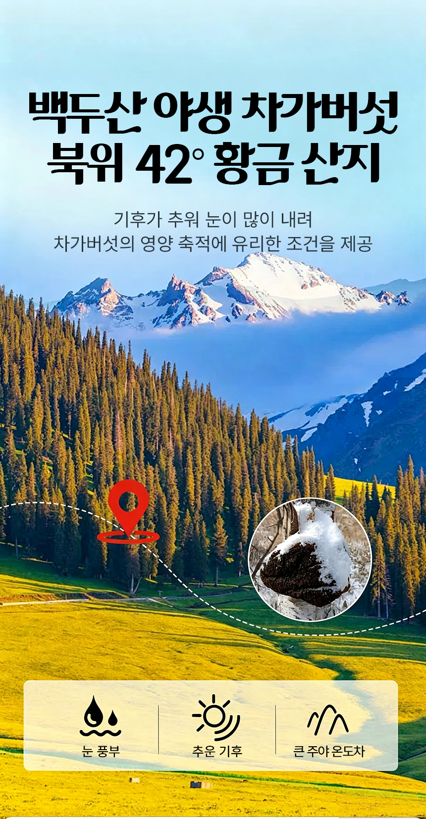 423f6ffca196c3c36f7592a76f36a57e_1788946879_2393.jpg