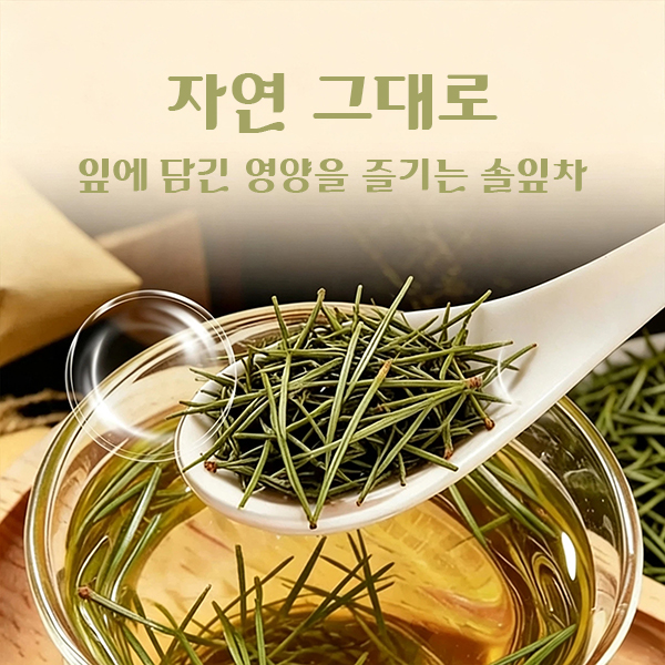 백두산 솔잎차 티백