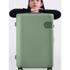 edd 중형 캐리어