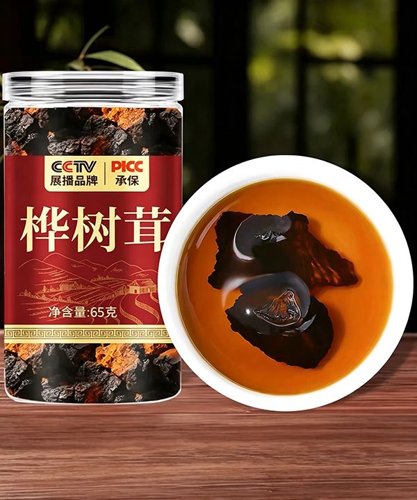 백두산 차가버섯