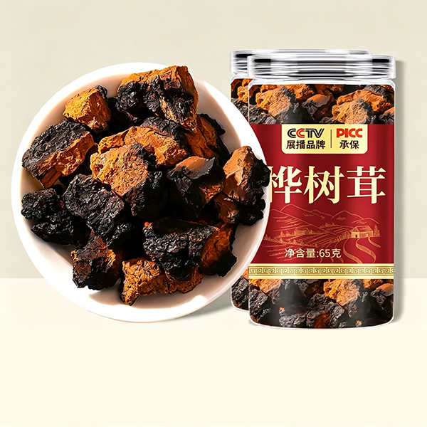 백두산 차가버섯