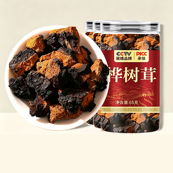 백두산 차가버섯