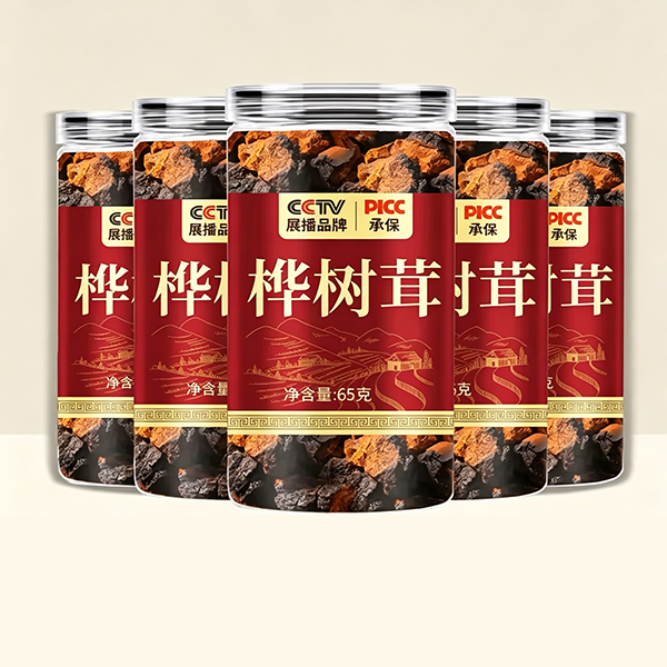 백두산 차가버섯